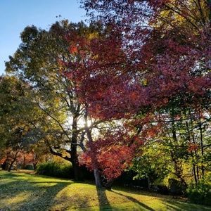 Meet your Posher, Suzanne